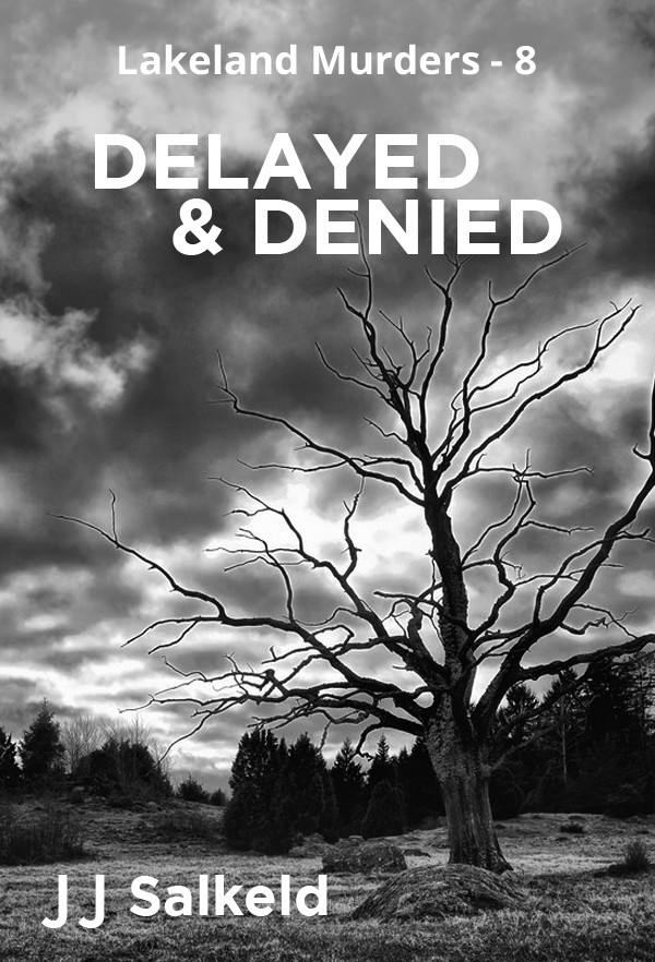 Delayed & Denied by J. J. Salkeld