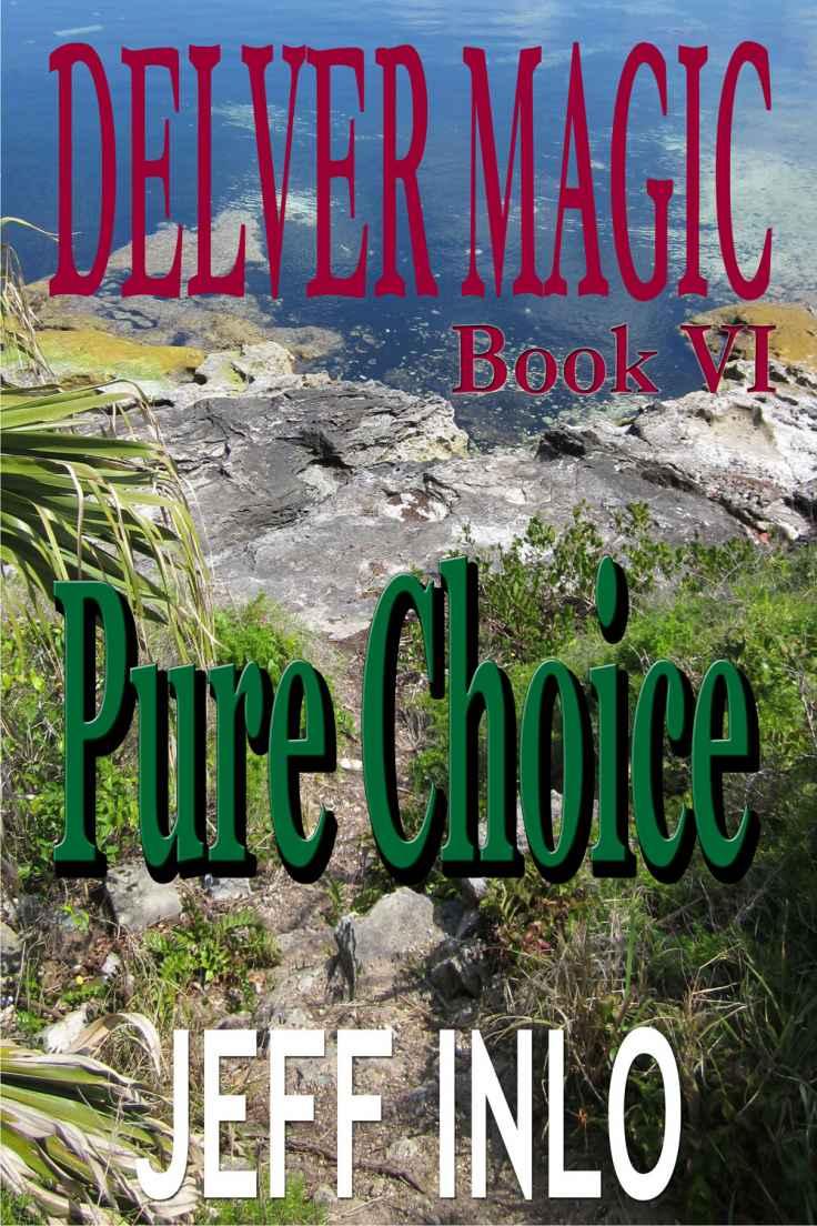 Delver Magic: Book 06 - Pure Choice by Jeff Inlo