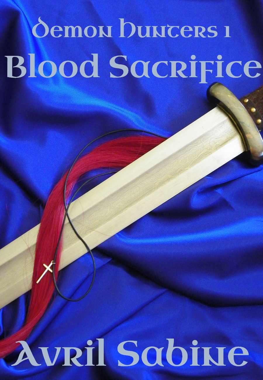 Demon Hunters 1: Blood Sacrifice (Stand Alone Series) (Demon Hunters.)