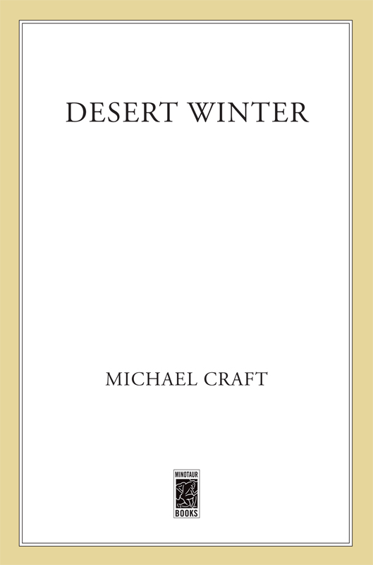 Desert Winter by Michael Craft