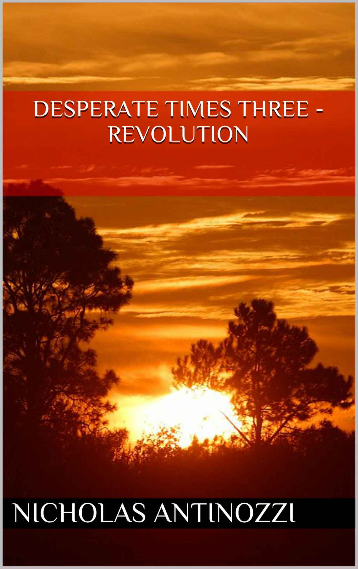 Desperate Times Three - Revolution by Nicholas Antinozzi