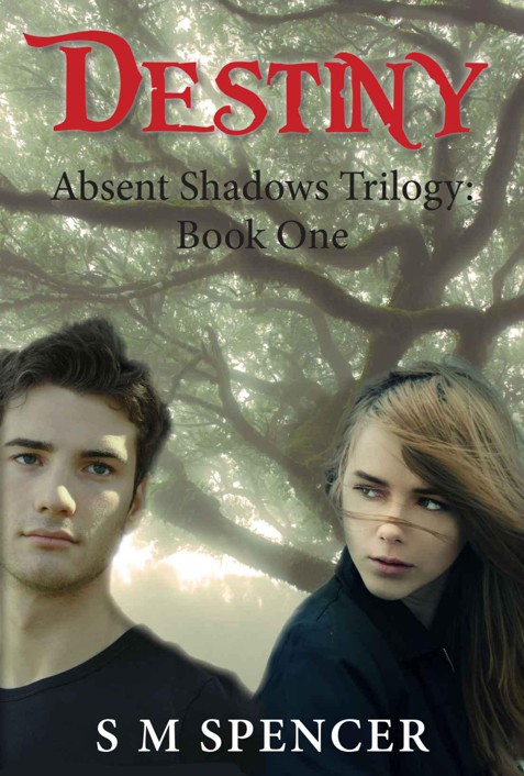 Destiny (Absent Shadows Trilogy Book 1) by S.M. Spencer