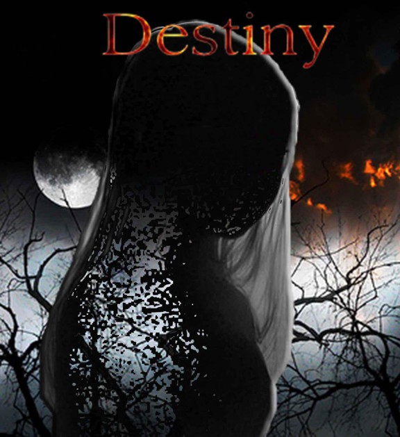 Destiny: Book of Light by Allen, Paul