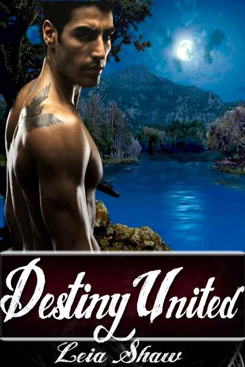 Destiny United by Leia Shaw