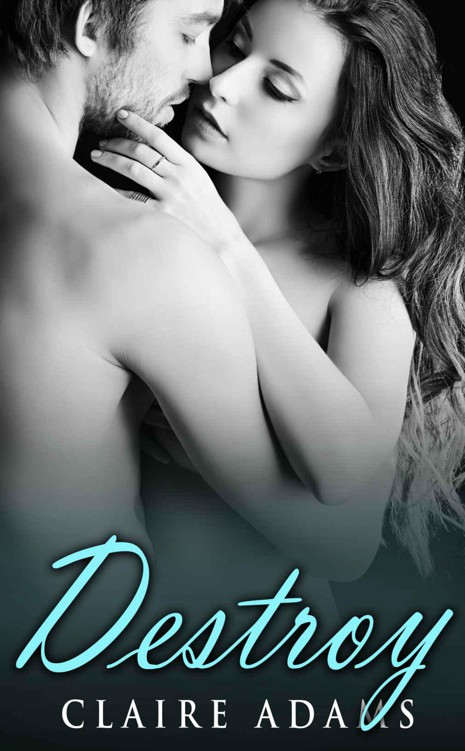 Destroy (A Standalone Romance Novel)