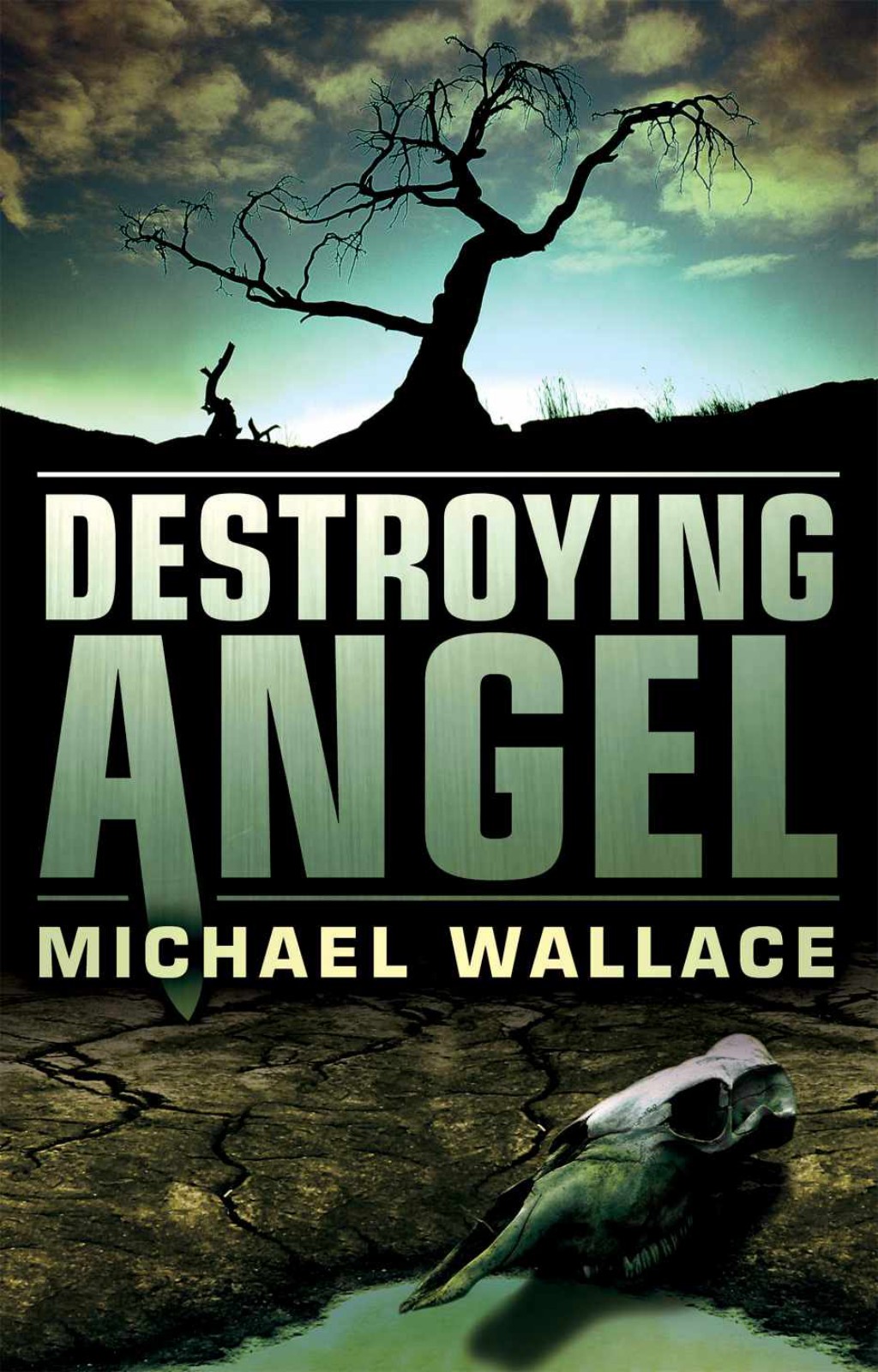 Destroying Angel by Michael  Wallace