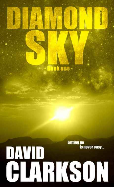 Diamond Sky (Diamond Sky Trilogy Book 1) by David Clarkson