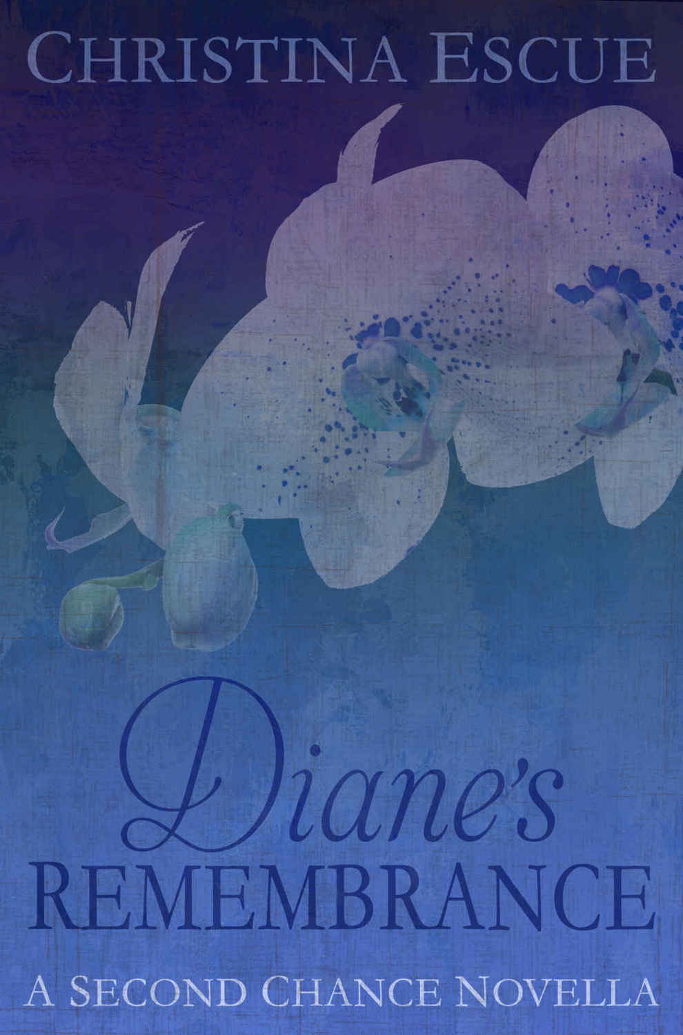 Diane's Remembrance (Second Chance #4) by Christina Escue