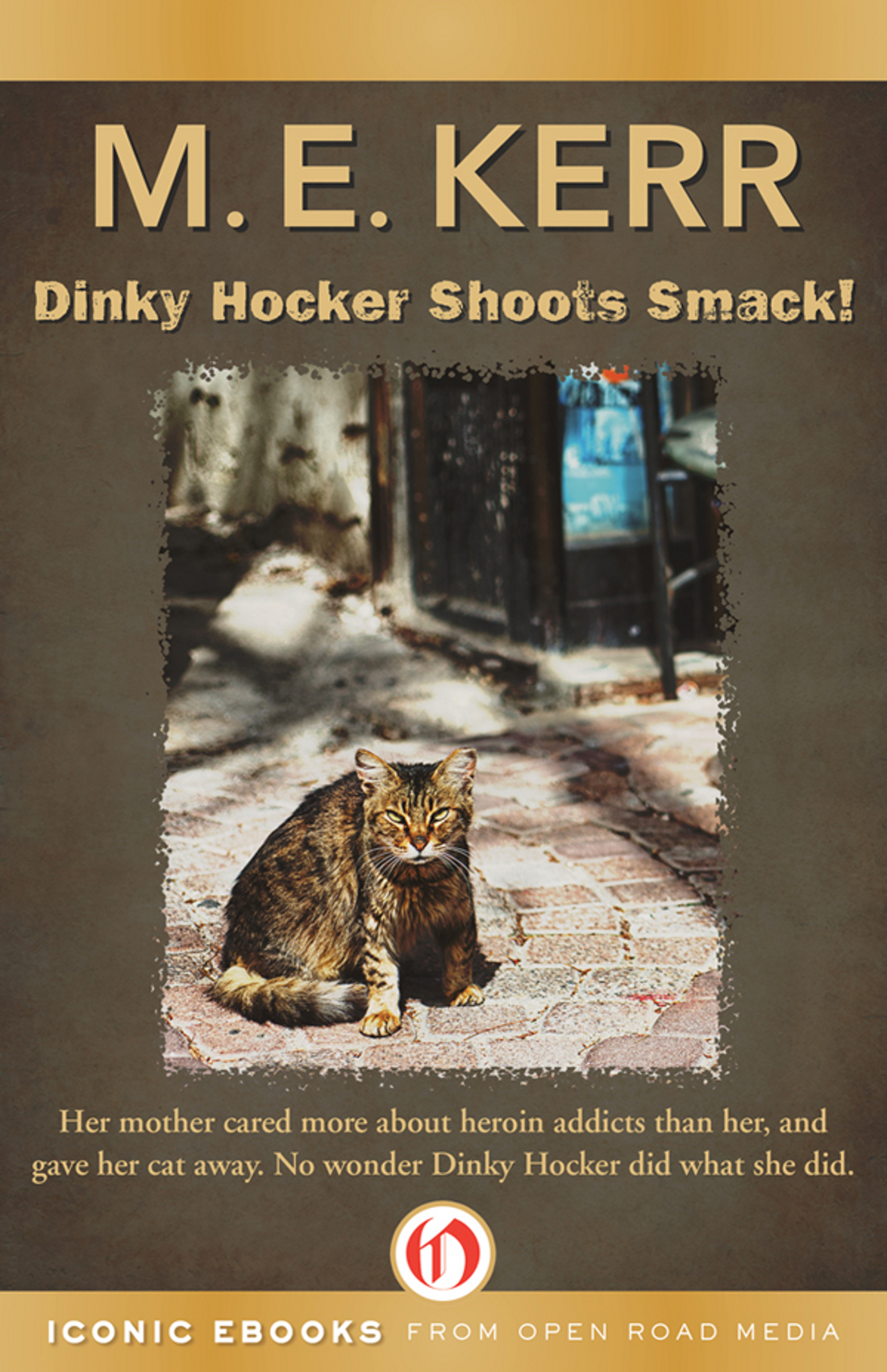 Dinky Hocker Shoots Smack! by M. E. Kerr