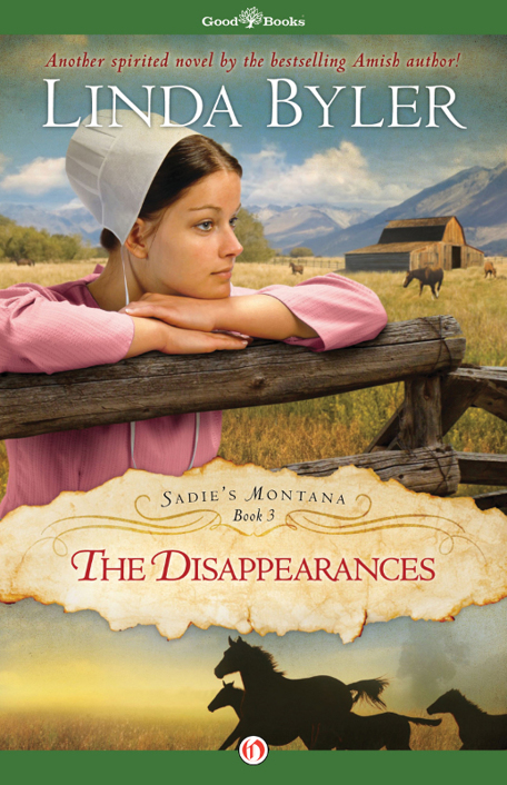 Disappearances by Linda Byler