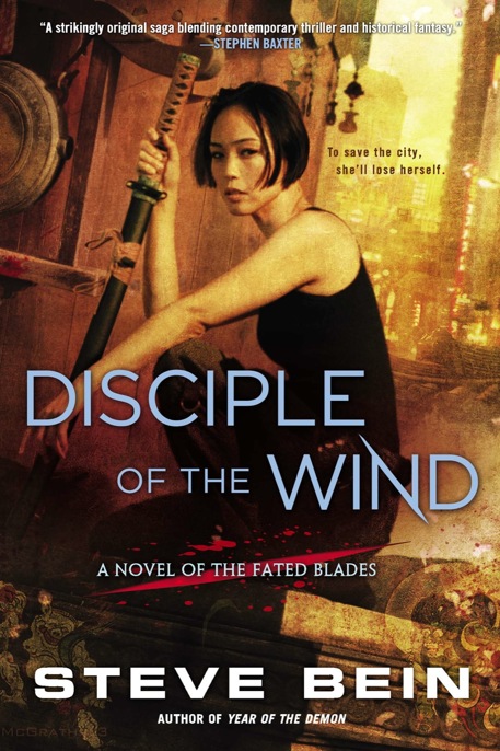 Disciple of the Wind by Steve Bein