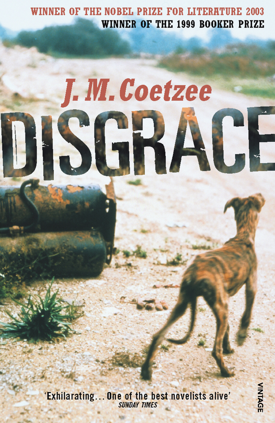 Disgrace (2011) by J. M. Coetzee