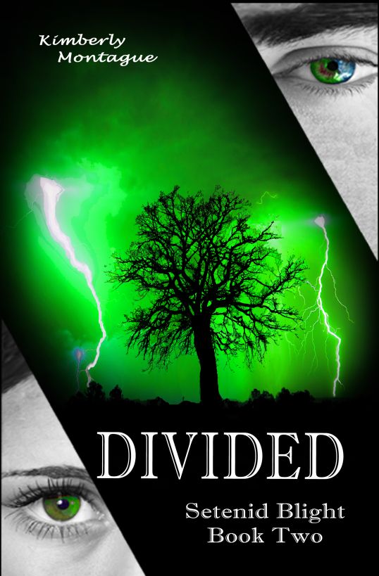 Divided by Kimberly Montague