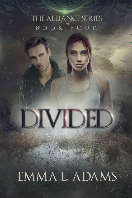 Divided: The Alliance Series Book Four