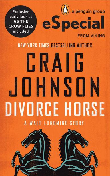 Divorce Horse by Johnson, Craig