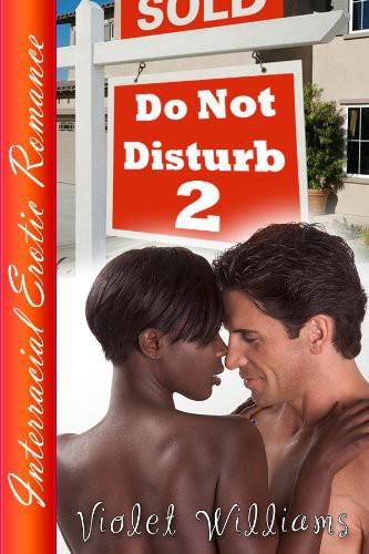 Do Not Disturb 2