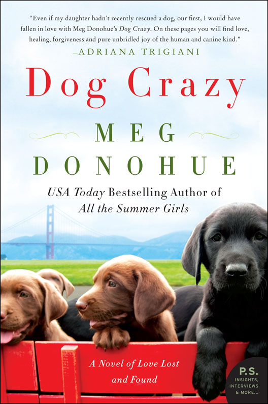 Dog Crazy (2015) by Meg Donohue