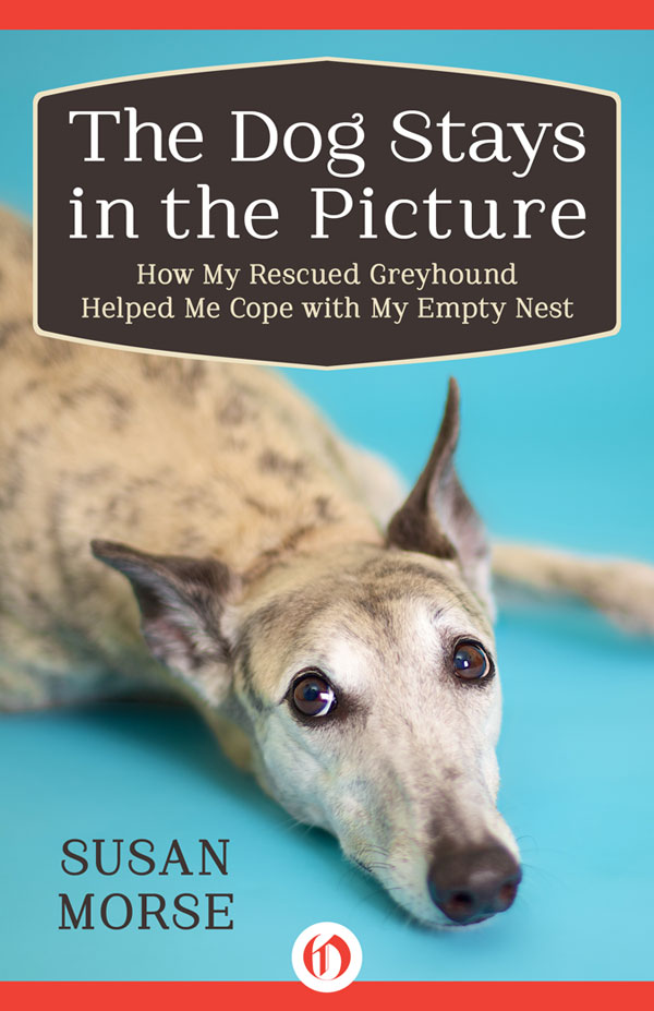 Dog Stays in the Picture (2014) by Morse, Susan;