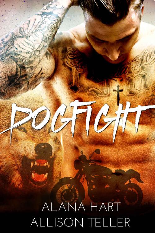 Dogfight (Alpha MC: The McKinnon Brothers Book 1) by Alana Hart