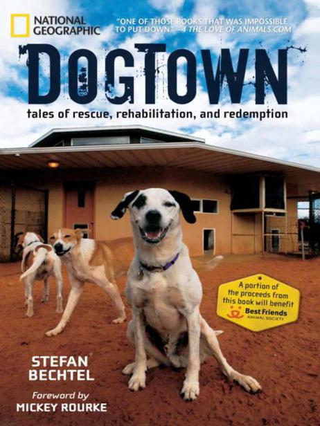 DogTown by Stefan Bechtel