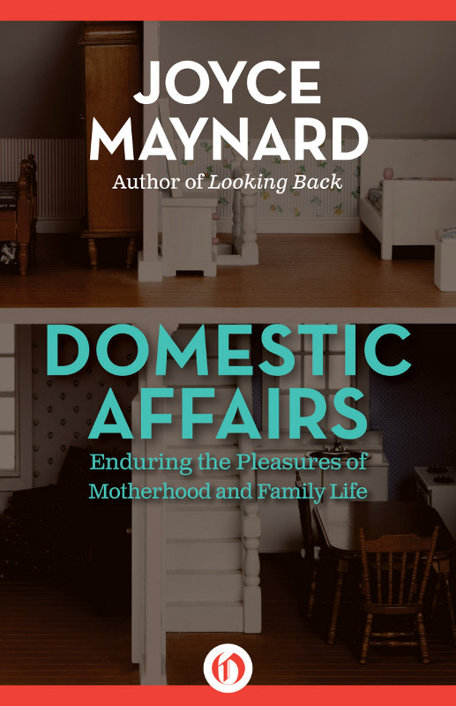 Domestic Affairs by Joyce Maynard