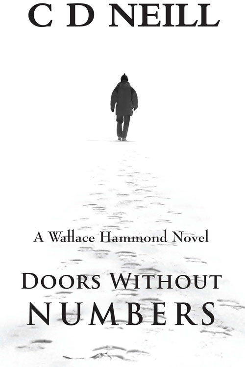 Doors Without Numbers (2013) by C.D. Neill
