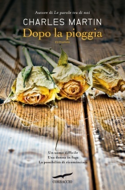 Dopo la pioggia (2013)