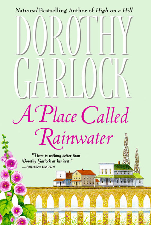 Dorothy Garlock by A Place Called Rainwater