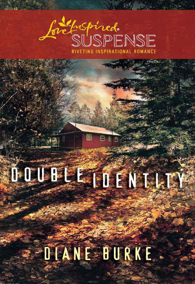 Double Identity by Diane Burke