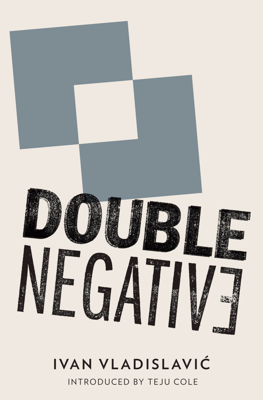 Double Negative by Ivan Vladislavic