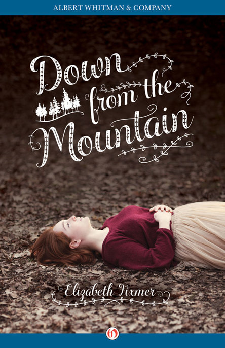 Down from the Mountain by Elizabeth Fixmer