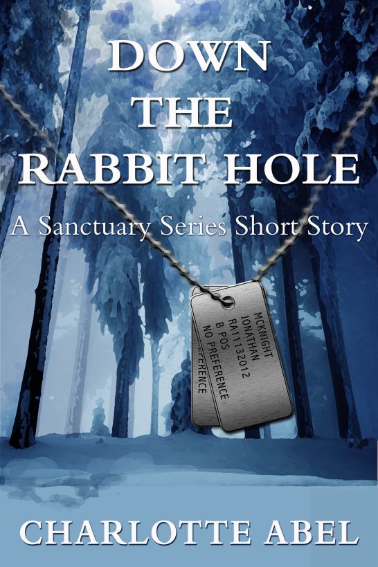 Down the Rabbit Hole by Charlotte Abel