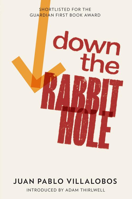 Down the Rabbit Hole (2011) by Juan Pablo Villalobos