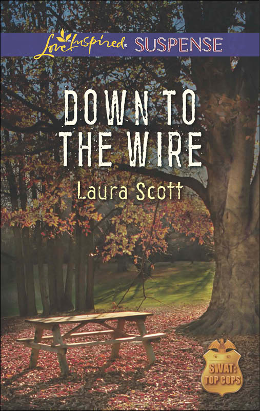 Down to the Wire (2014) by Laura Scott