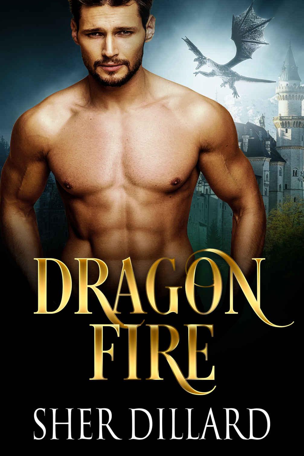 Dragon Fire (Dragons of Perralt Book 1) by Sher Dillard