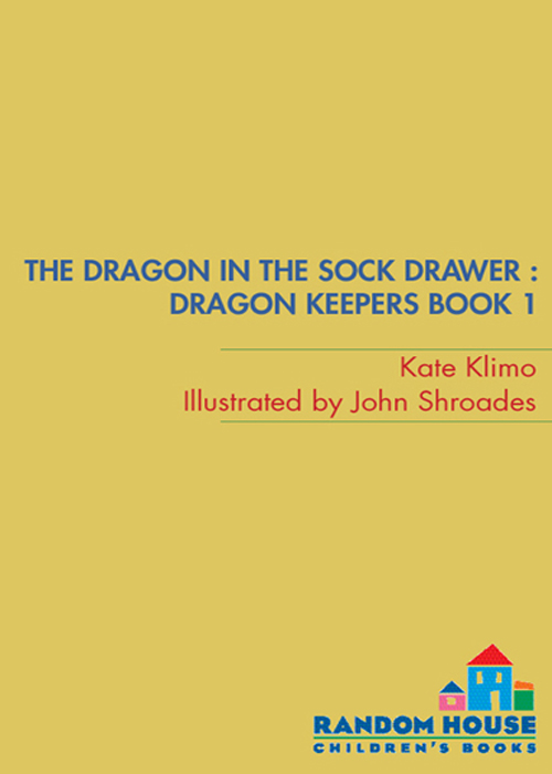 Dragon Keepers #1: The Dragon in the Sock Drawer by Kate Klimo