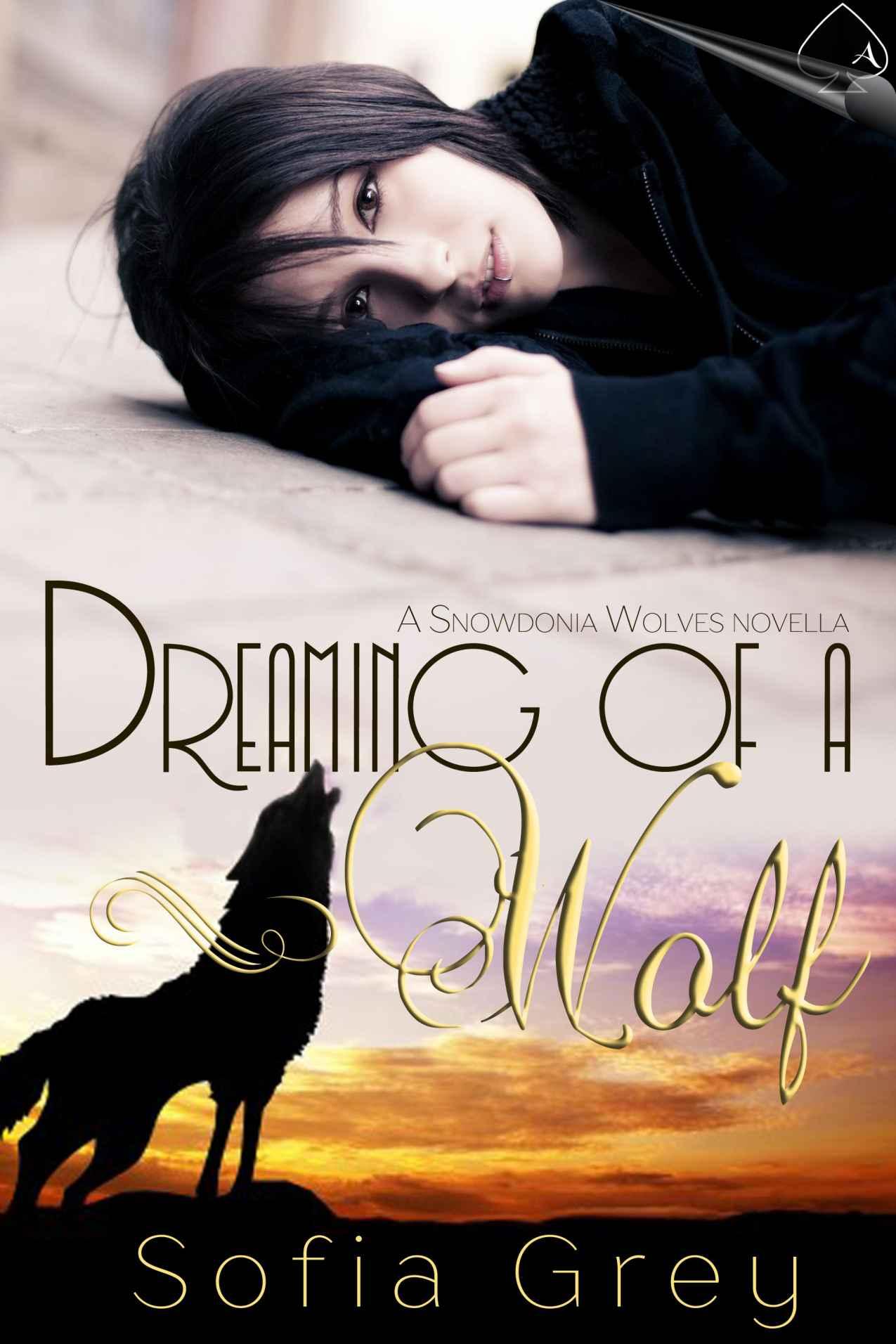 Dreaming of a Wolf (Snowdonia Wolves) by Sofia Grey