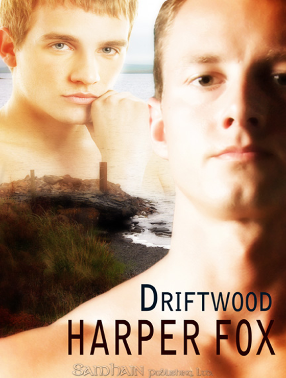 Driftwood (2010) by Harper Fox