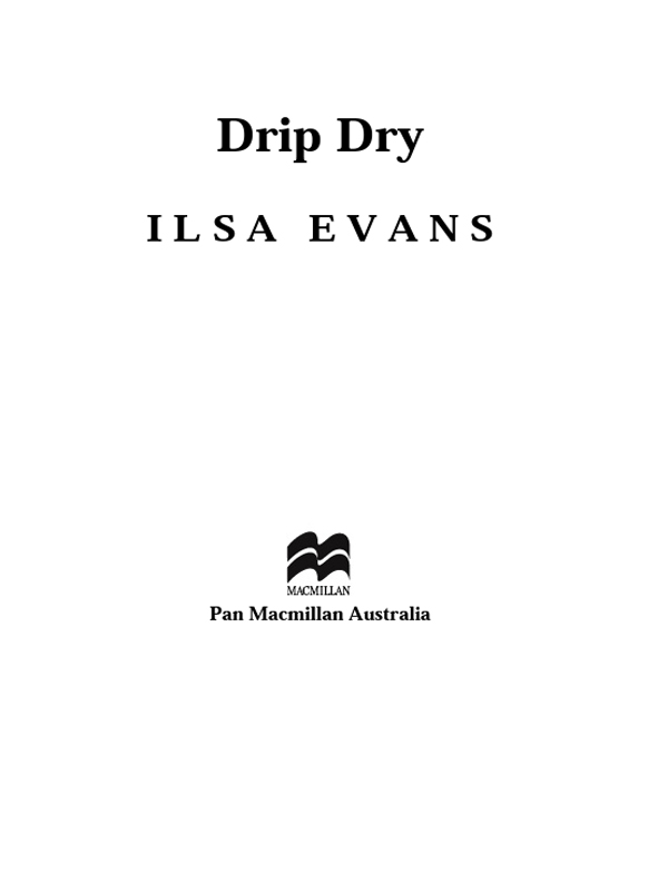 Drip Dry (2004) by Ilsa Evans