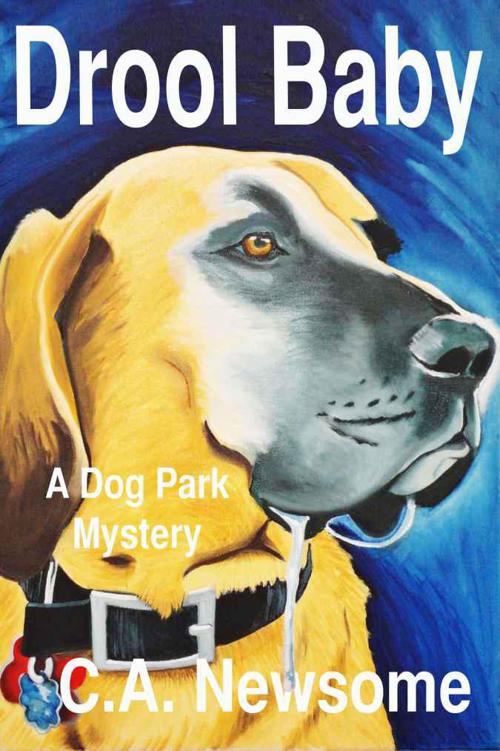 Drool Baby (A Dog Park Mystery) (Lia Anderson Dog Park Mysteries) by Newsome, Carol Ann