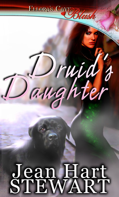 Druid's Daughter by Jean Hart Stewart