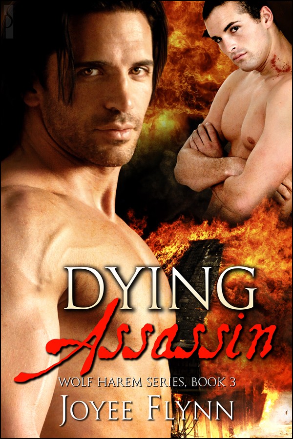 Dying Assassin (2010) by Joyee Flynn