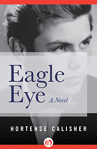 Eagle Eye: A Novel (2013)