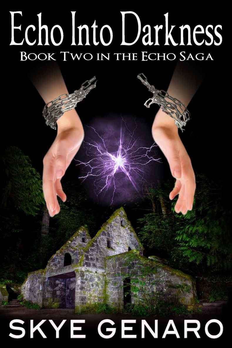 Echo Into Darkness: Book 2 in The Echo Saga (Teen Paranormal Romance) by Skye Genaro