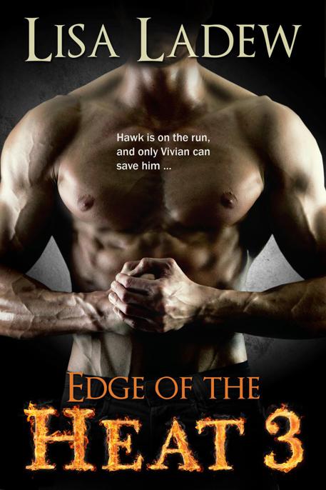 Edge of the Heat 3 by Lisa Ladew