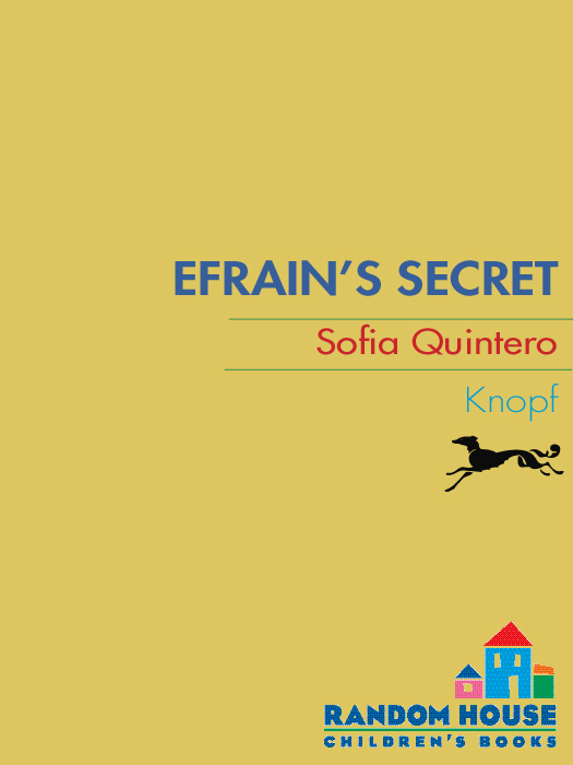 Efrain's Secret (2010) by Sofia Quintero