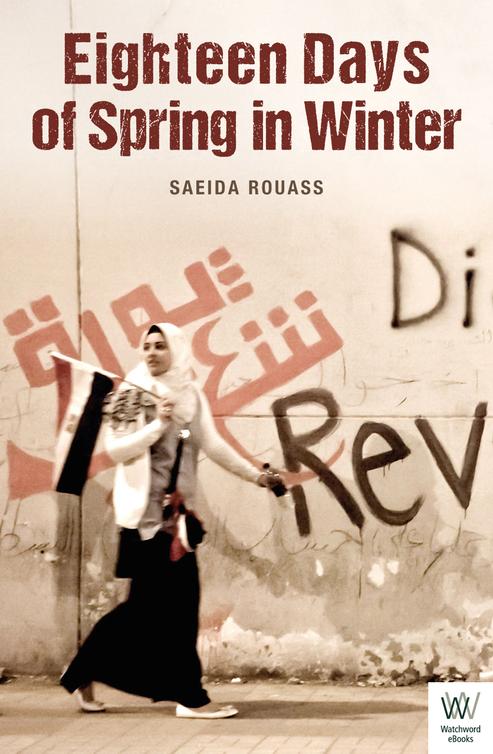 Eighteen Days of Spring in Winter (2015) by Saeida Rouass