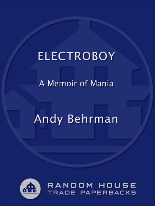 Electroboy (2011) by Andy Behrman