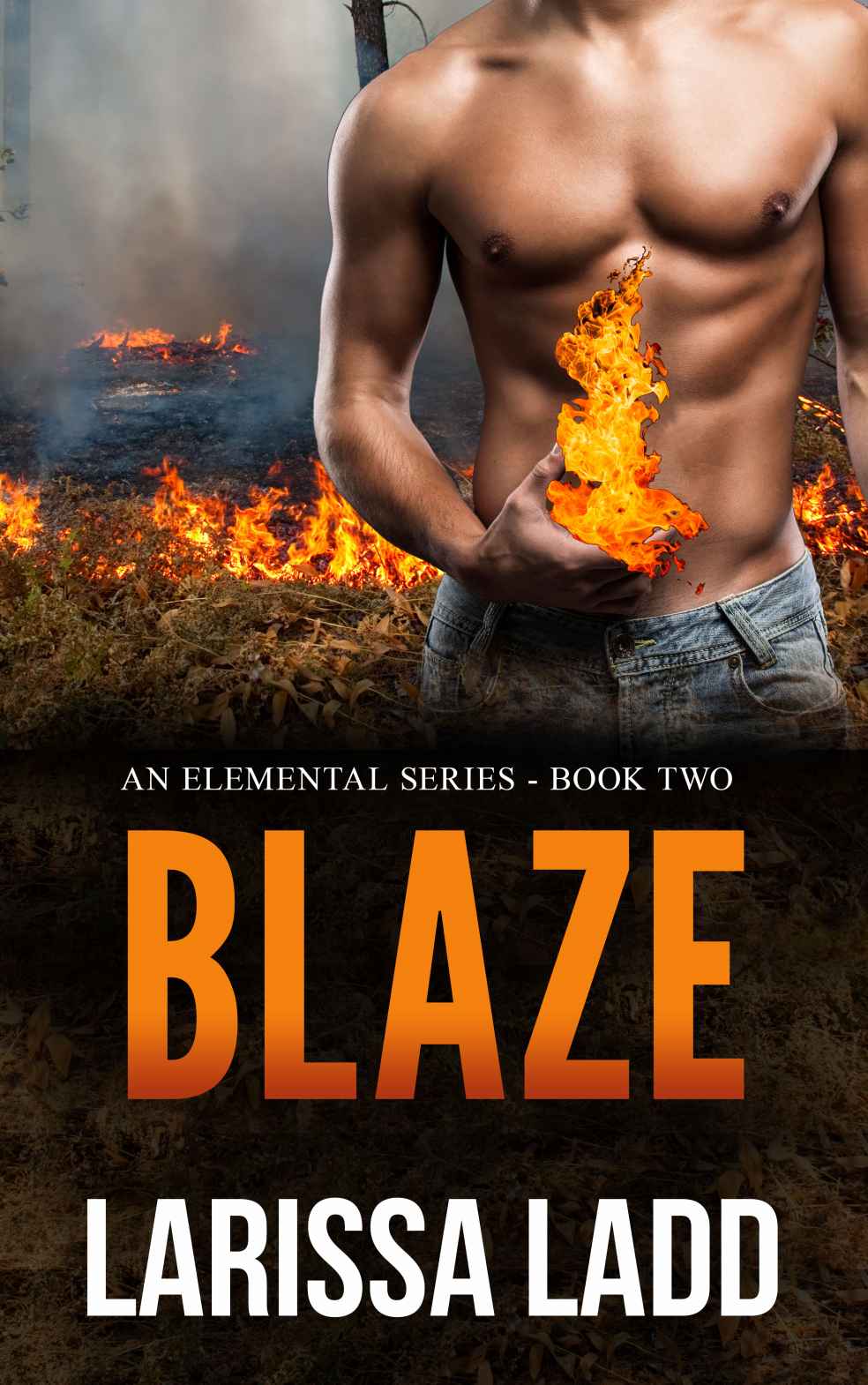 elemental 02 - blaze by ladd, larissa