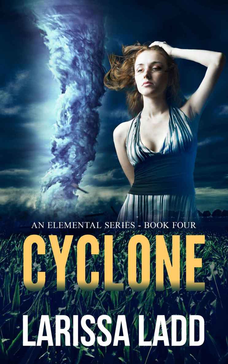 elemental 04 - cyclone by ladd, larissa